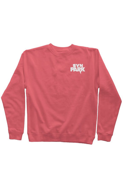 SYN PARK DYED EMBROIDERED SWEATSHIRT